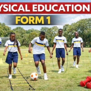 F1 Physical Education